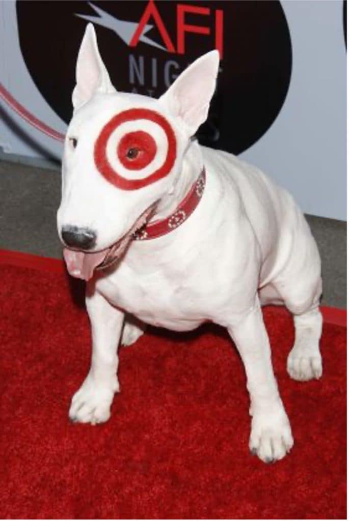 bullseye-dog
